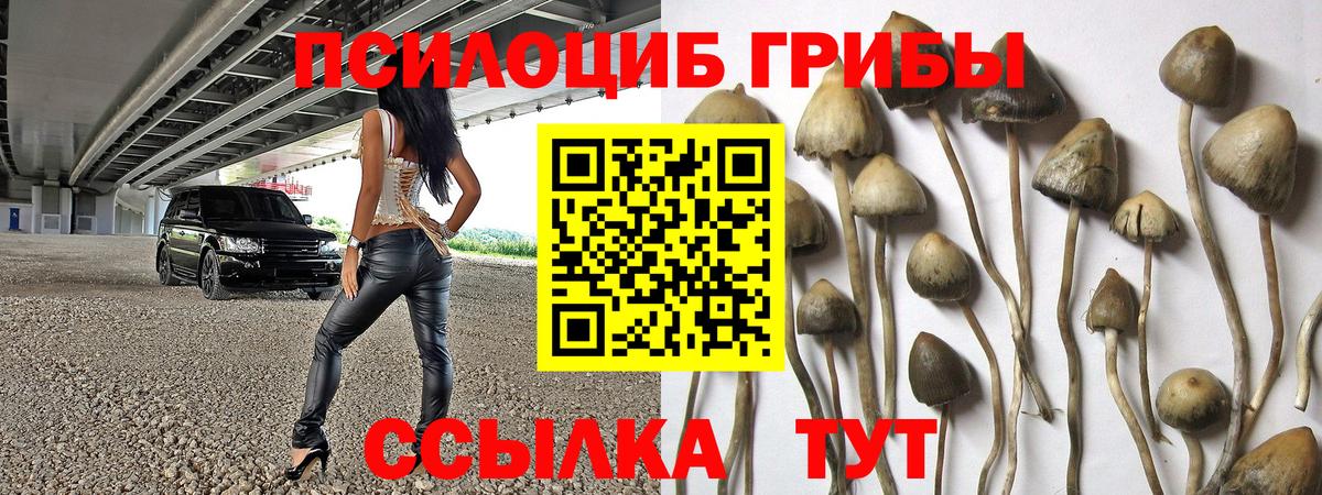 наркотики  Галлюциногенные грибы мицелий  Вход с VPN  Алушта 